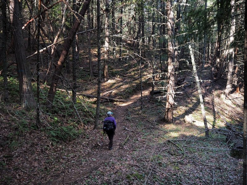 Along the Atsahu Trail