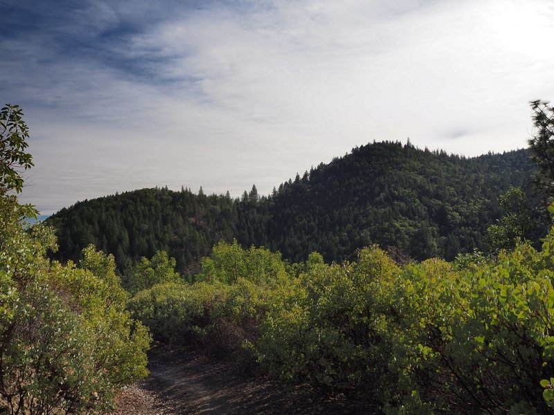 View of Twin Peaks from the Jackson Ridge Trail