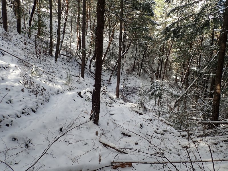 The Jackson Ridge Trail in winter