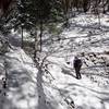 Along the Halls of Manzanita Trail in winter