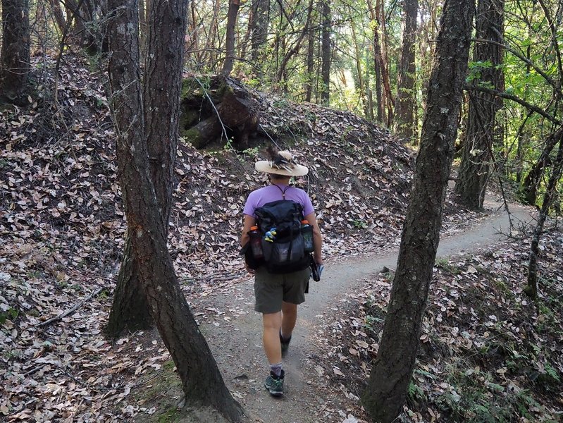 Starting out on the Rail Trail