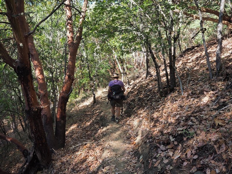 Along the Siskiyou Trail