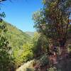 Along the Siskiyou Trail