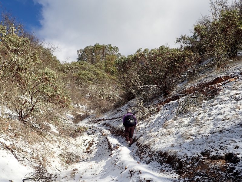 Ascending the Pipsissewa Trail in winter