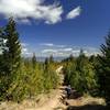 View from the Arrowhead Pass Road