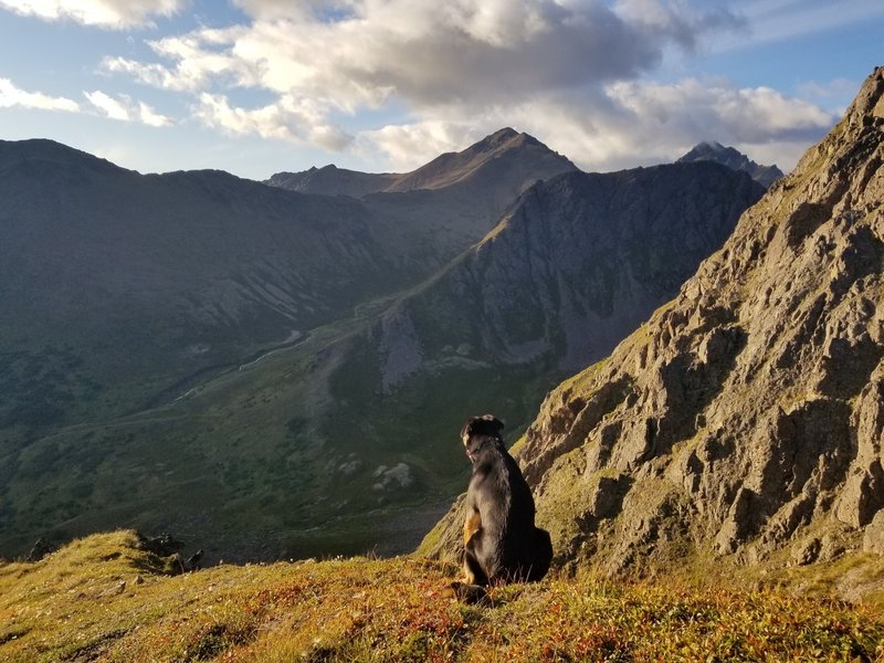 Indianhouse ridge looking west toward Falls Creek and South Suicide