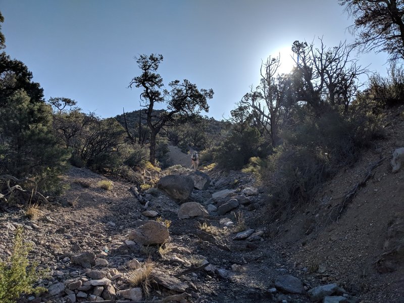 Heading up the loose wash from the road