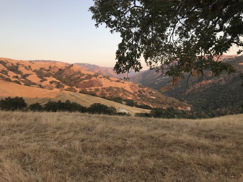 Looking south from Cerro Este Rd by McCorkle Trail