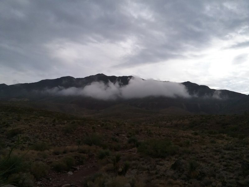 Looking east from the trail on a rainy morning