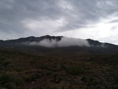 Looking east from the trail on a rainy morning