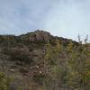 View of little Tin Hill and four winged salt bush