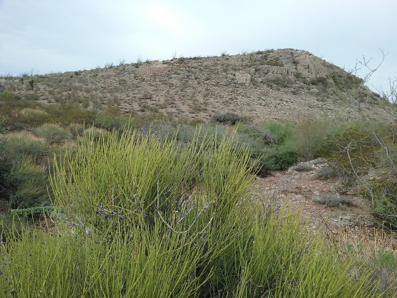 View of Little Tin Hill and ephreda