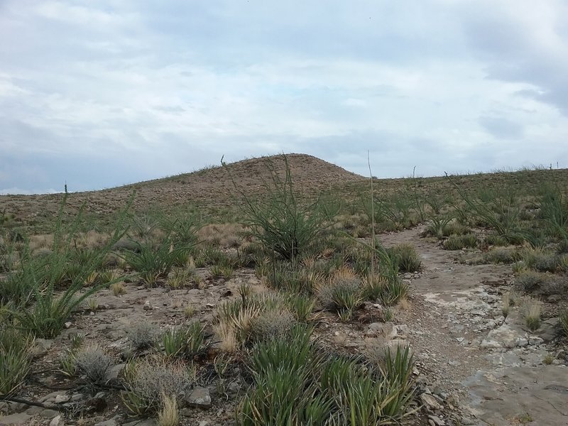 View of Little Moab