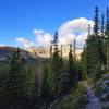 Early morning along the trail