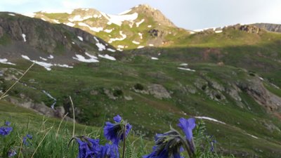 Summer along the trail