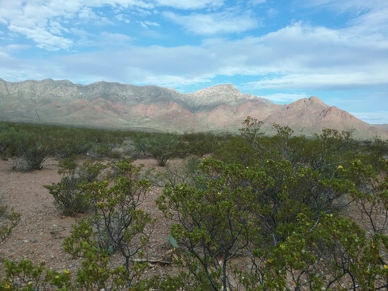 Looking west from the trail