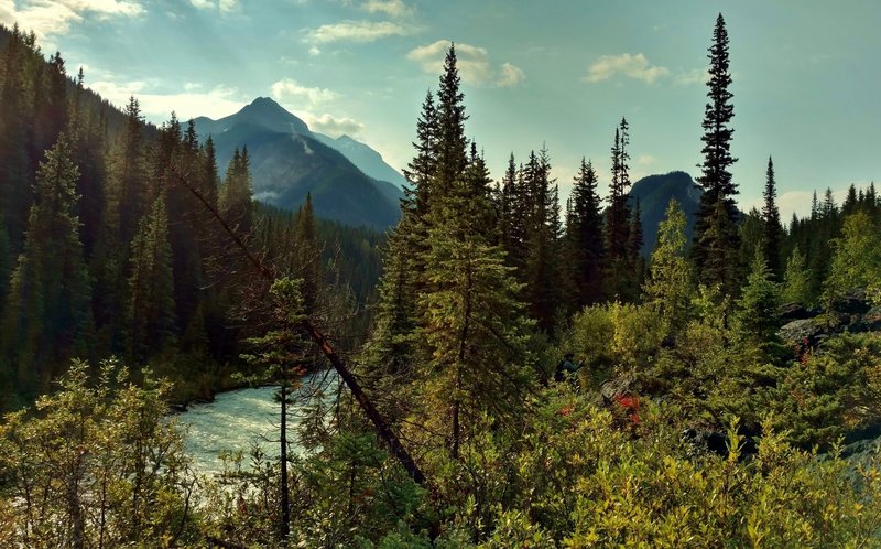 The Blaeberry River below, with rugged mountains beyond, seen looking downstream (southeast) from a high spot on the David Thompson Heritage Trail.