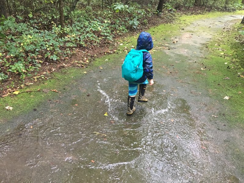 Trail condition on a rainy day, no mud