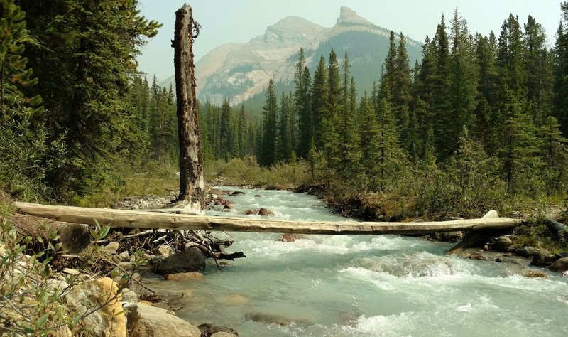 Poboktan Pass Trail crosses a swift flowing side creek that flows into Poboktan Creek, near the Poboktan Trail Camp.