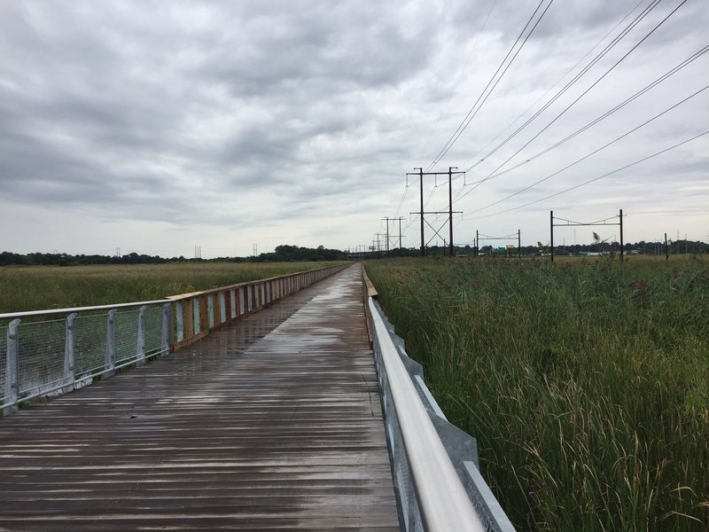 On the boardwalk in the marsh