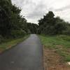 A paved section of the Jack A. Markell Trail