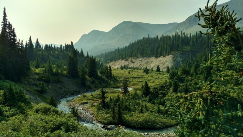 Poboktan Creek runs through the mountain meadows below Poboktan Pass Trail.