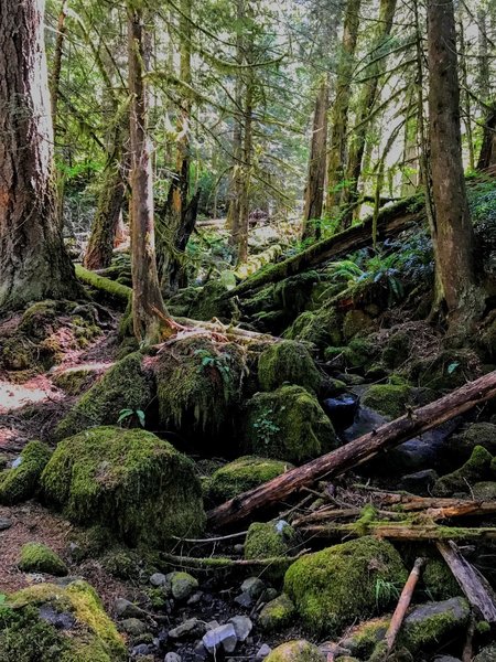 Crossing Grouse Creek