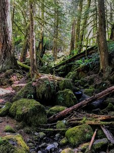 Crossing Grouse Creek