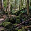 Crossing Grouse Creek