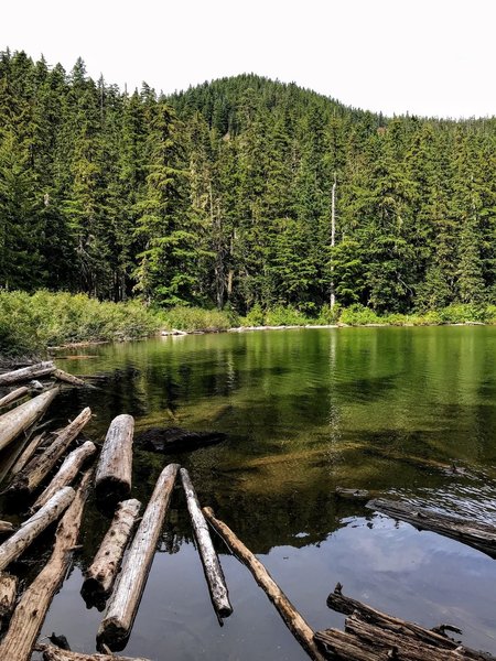 Clear green waters on Shellrock Lake