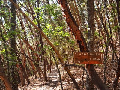 Claimjumper at its junction with the Jackson Ridge Trail.