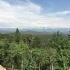 Nice views of the Continental Divide just east of the Panorama Point deck/picnic area.