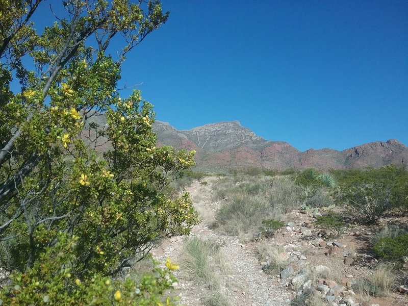 Beginning of trail on east side.