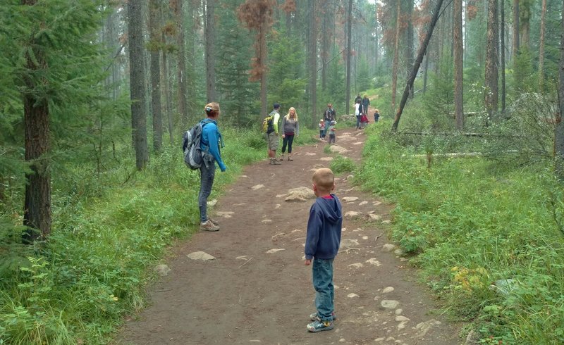 Popular with families and kids, Valley of the Five Lakes Trail goes through the fir forest to five lakes.