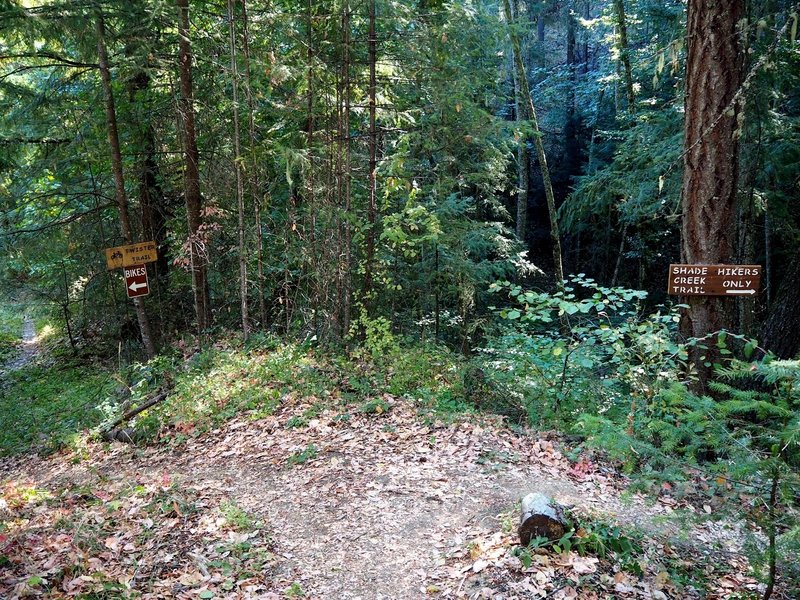 Just below Parking Area P-7, bikes stay left and hikers stay right