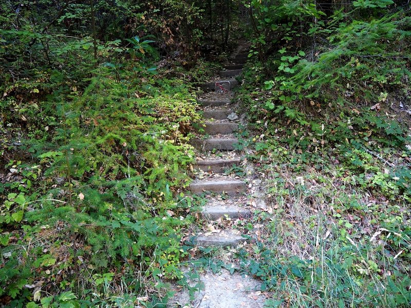 Stepping down to the Twin Peaks Trail.