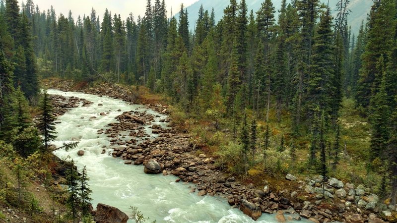 Yates Torrent cascades down from Coleman Glacier next to the Coleman Glacier Trail.