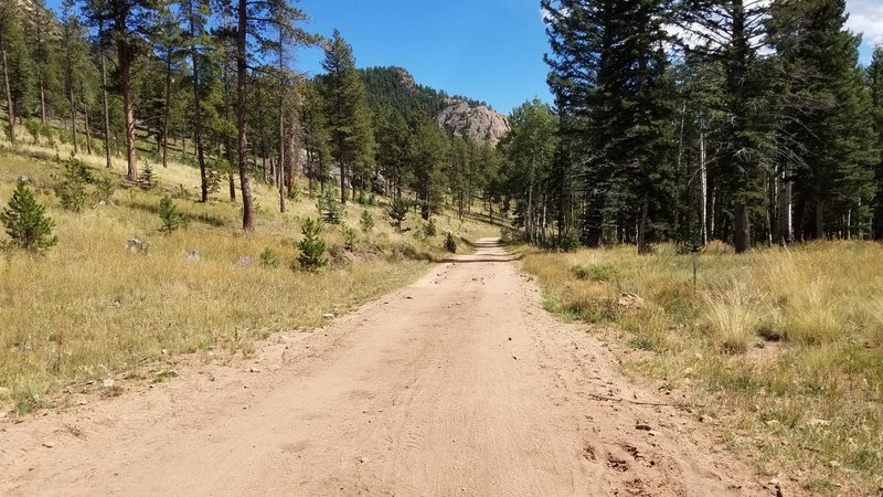 The trail widens to a road for a bit when you turn onto the Staunton Ranch Trail from the Border Line Trail