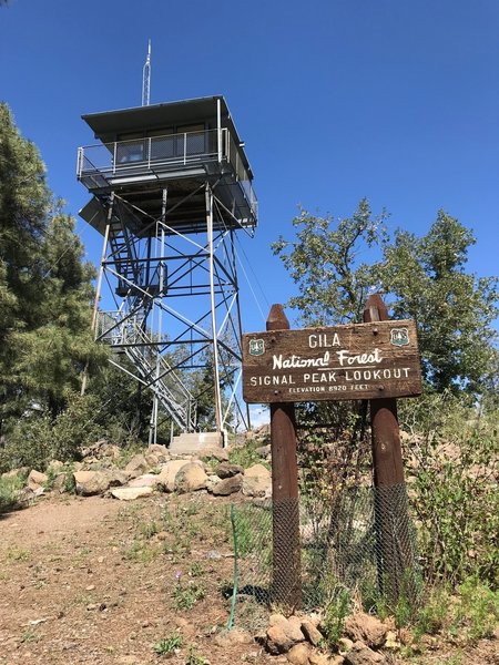 The lookout at the top--still staffed in fire season.