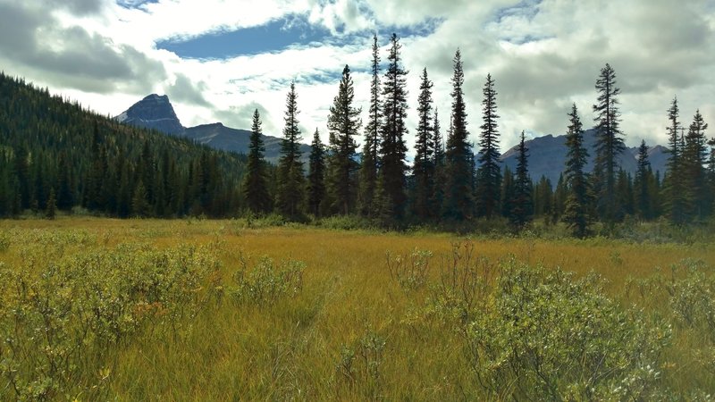 The mile long wet, meadowy area. It's beautiful, but it's easy to lose the trail. If you look closely, there's an orange mark on a tree in the center - aim for it.