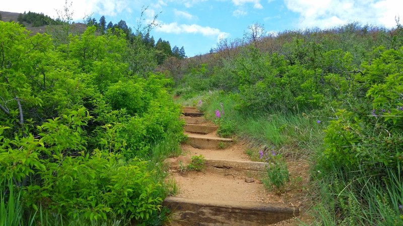 Well maintained trail