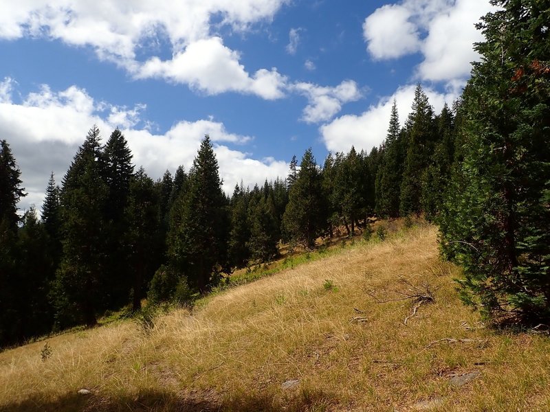 The trail crosses several meadows