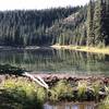 Beaver Dam at Horseshoe Lake Traial, Denali