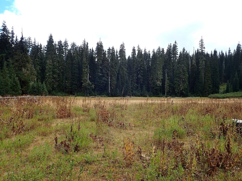 The meadow at Hole-in-the-Ground