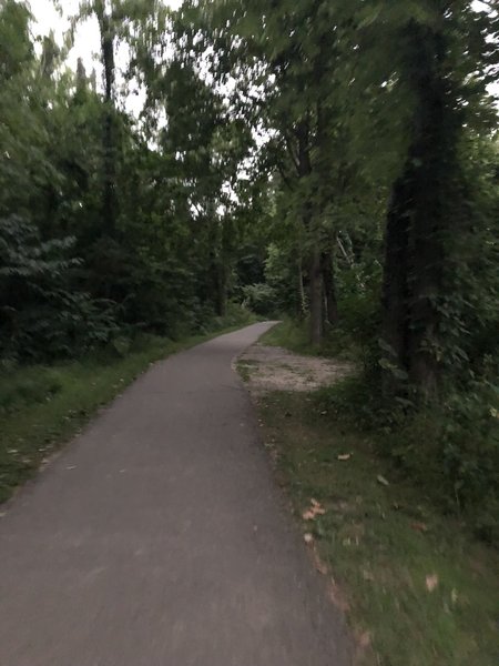 Typical paved trail