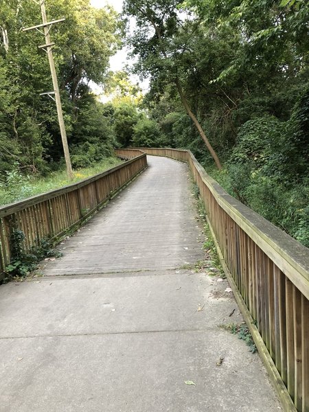 Wood boardwalk over some wetlands