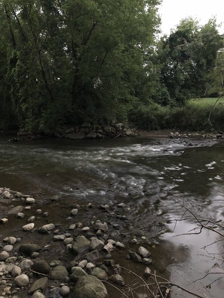 View of the Clinton River from the trail.