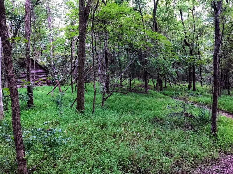 Log cabin farmhouse on the trail