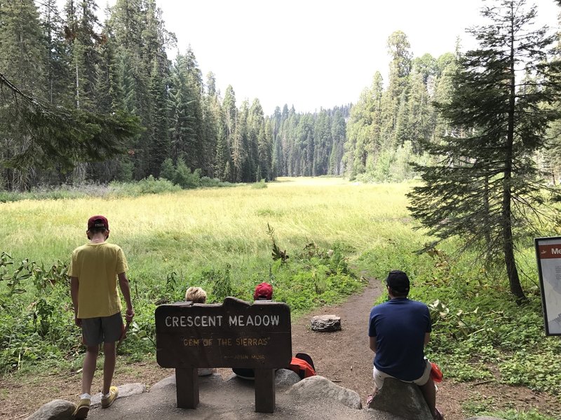 Crescent Meadow, Sequoia National Park