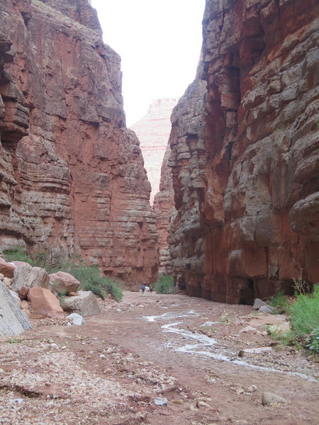 At the top of Upper Saddle Canyon trail